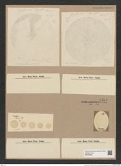 Coscinodiscus sp. (de-Toni-Nr.: Genus 202) Zeichnungen Sammlung Grunow Nr. 8955 (NHMW-BOT-W0378642)